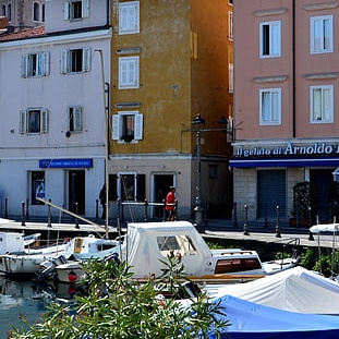 Gestione Infopoint di Muggia